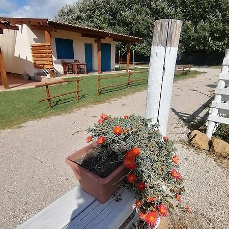 Agriturismo Oca Giuliva Lido dei Pini Eksteriør bilde