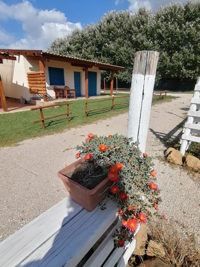 Agriturismo Oca Giuliva Lido dei Pini Eksteriør bilde